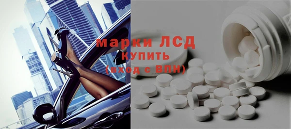 spice Бородино