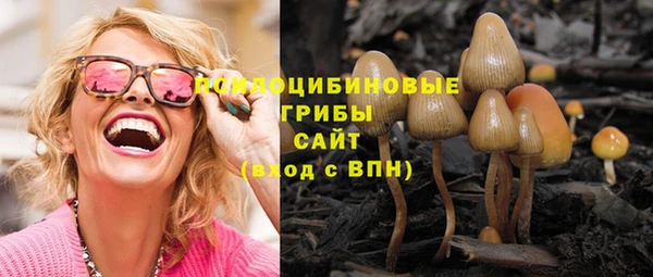 гидра Верхний Тагил