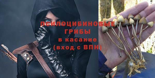 ПСИЛОЦИБИНОВЫЕ ГРИБЫ Бронницы