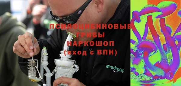 ПСИЛОЦИБИНОВЫЕ ГРИБЫ Бронницы