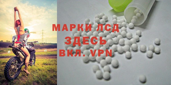 гидра Верхний Тагил