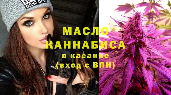 гидра Верхний Тагил