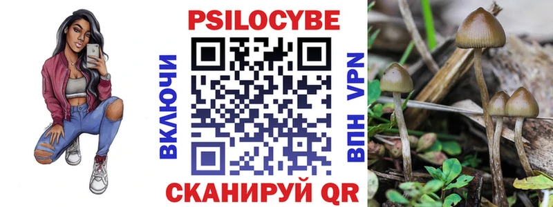 Купить где  Миньяр  Галлюциногенные грибы MAGIC MUSHROOMS 